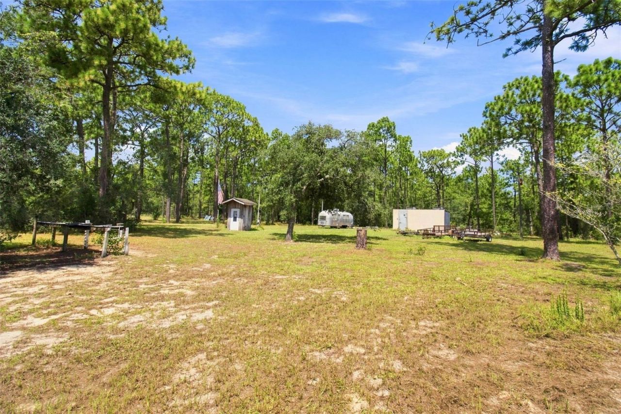 8279 Sunshine Grove Road, Brooksville, FL 34613 Photo