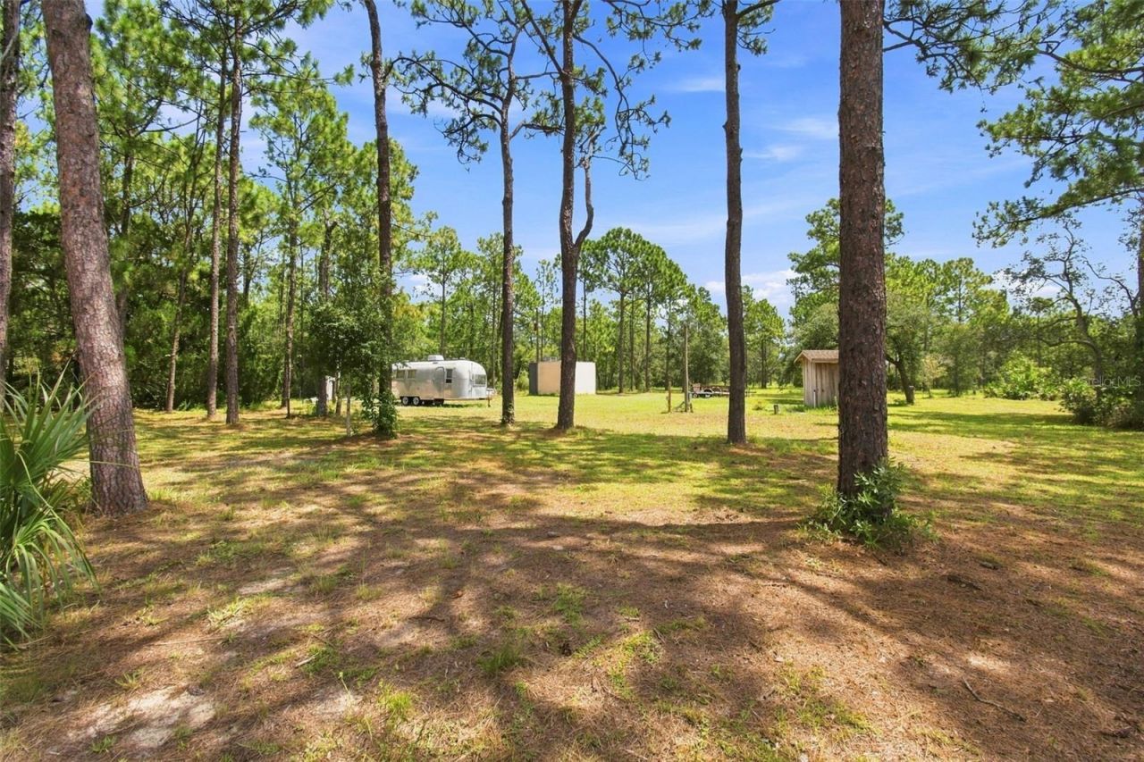 8279 Sunshine Grove Road, Brooksville, FL 34613 Photo