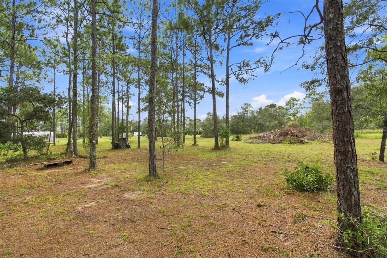 8279 Sunshine Grove Road, Brooksville, FL 34613 Photo