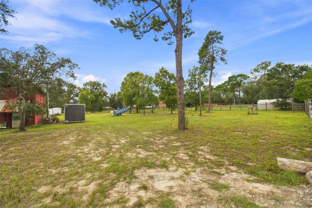 8279 Sunshine Grove Road, Brooksville, FL 34613 Photo