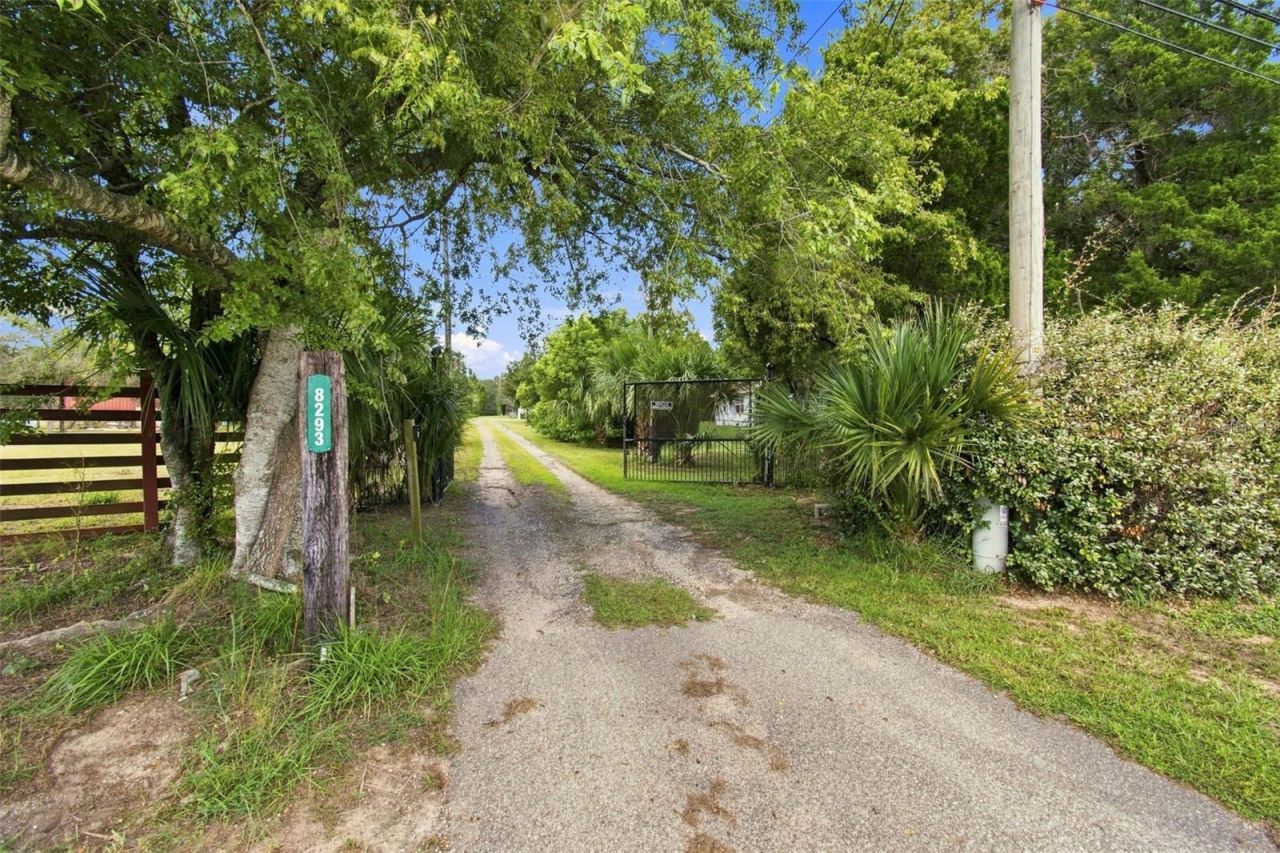 8279 Sunshine Grove Road, Brooksville, FL 34613 Photo