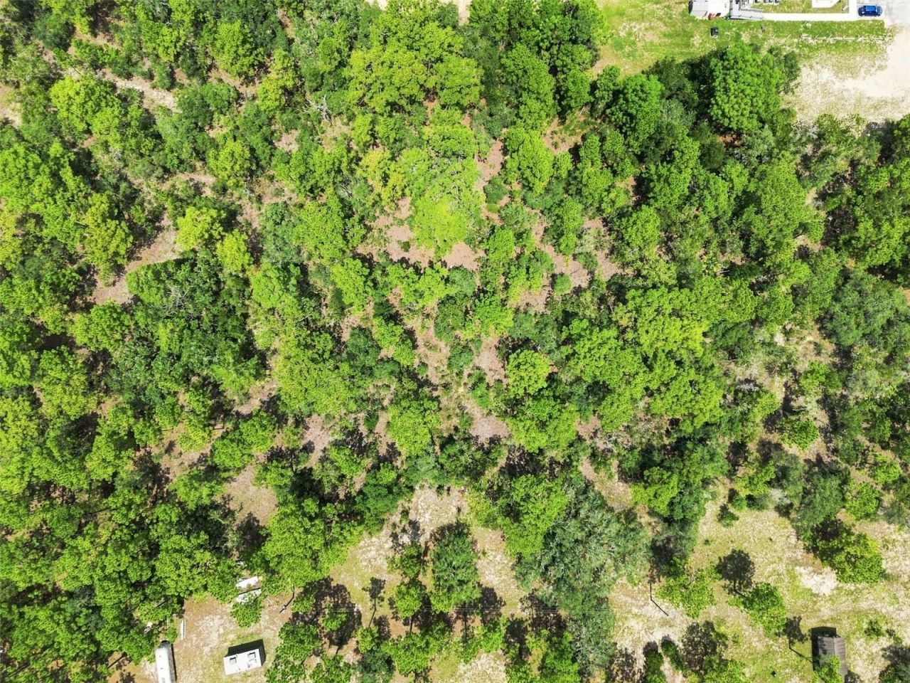 8279 Sunshine Grove Road, Brooksville, FL 34613 Photo