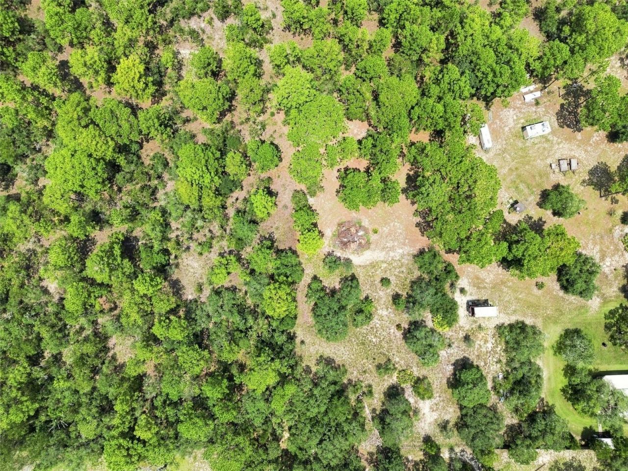 8279 Sunshine Grove Road, Brooksville, FL 34613 Photo