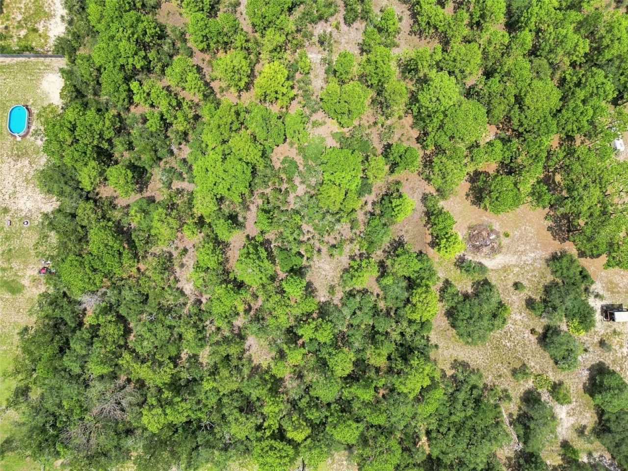 8279 Sunshine Grove Road, Brooksville, FL 34613 Photo