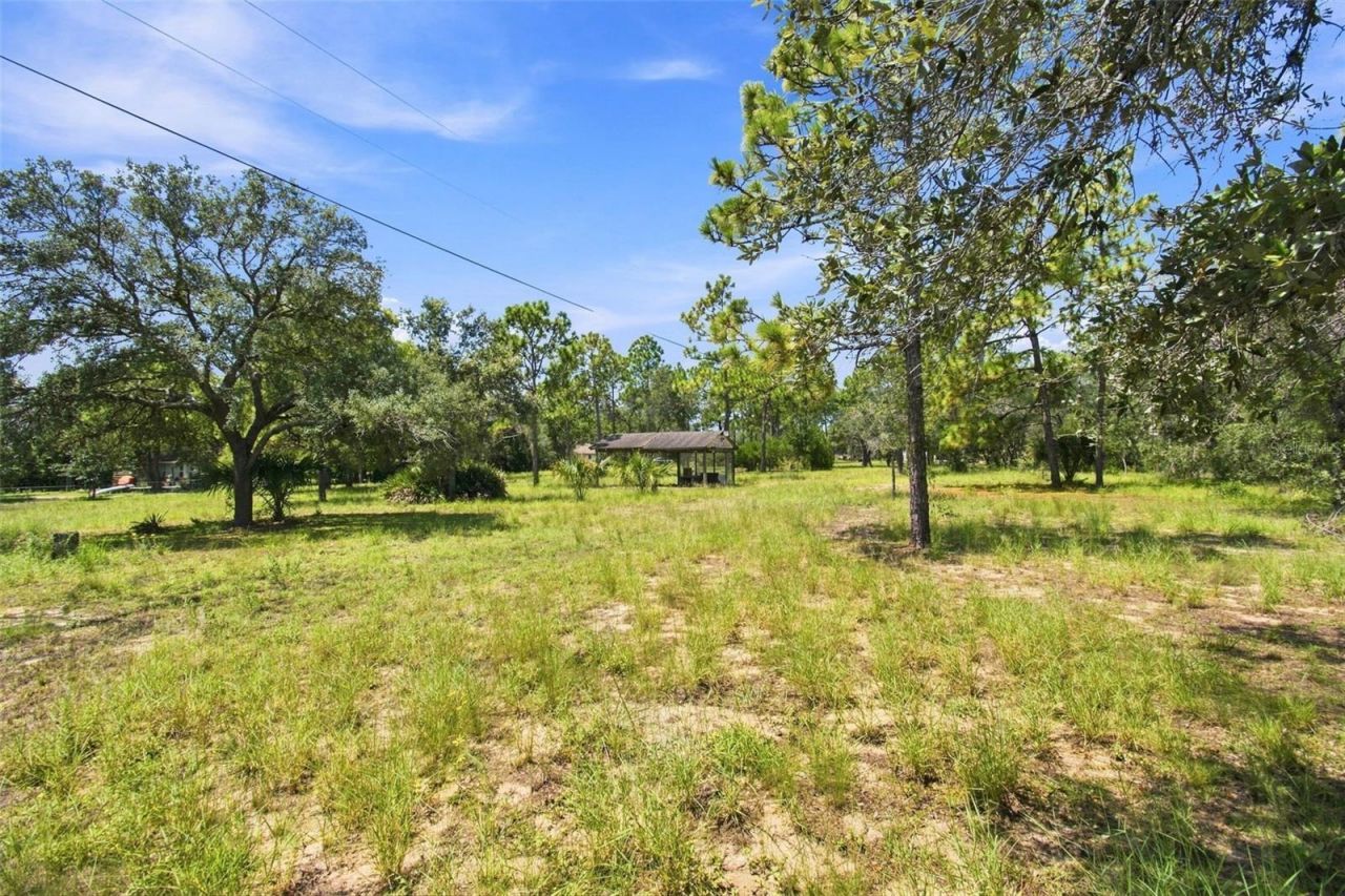 8279 Sunshine Grove Road, Brooksville, FL 34613 Photo