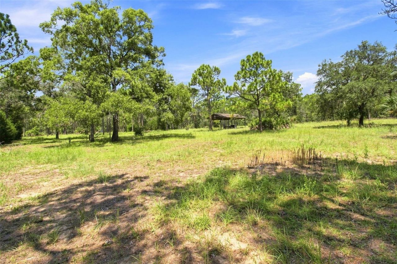 8279 Sunshine Grove Road, Brooksville, FL 34613 Photo