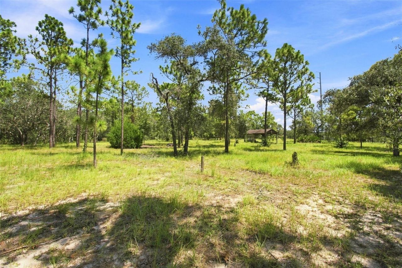8279 Sunshine Grove Road, Brooksville, FL 34613 Photo