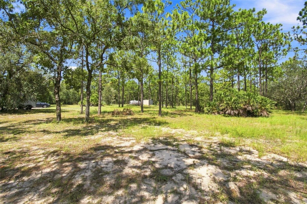 8279 Sunshine Grove Road, Brooksville, FL 34613 Photo
