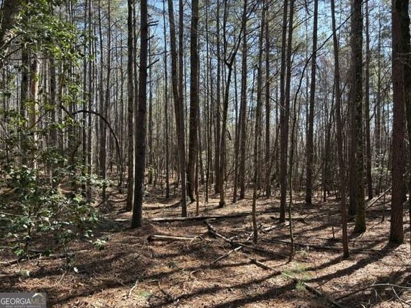 343 Hank Fry Rd, Clarkesville, GA 30523