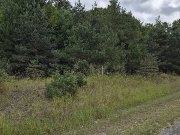 Adamson Lake Road, Kaleva, MI 49645