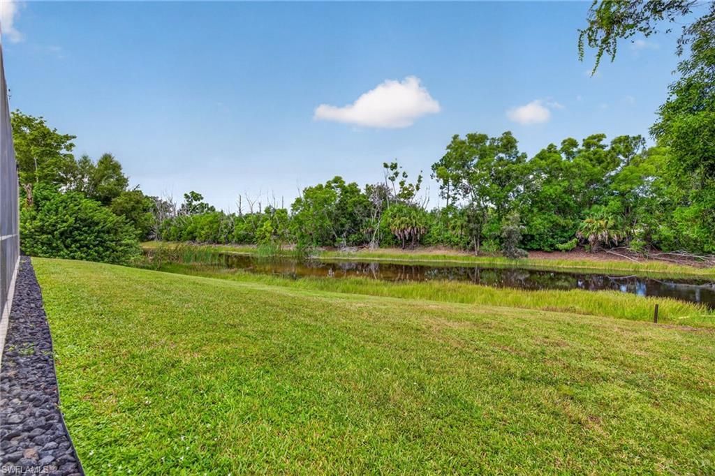 27150 Rue De Paix, Bonita Springs, FL 34135 Photo