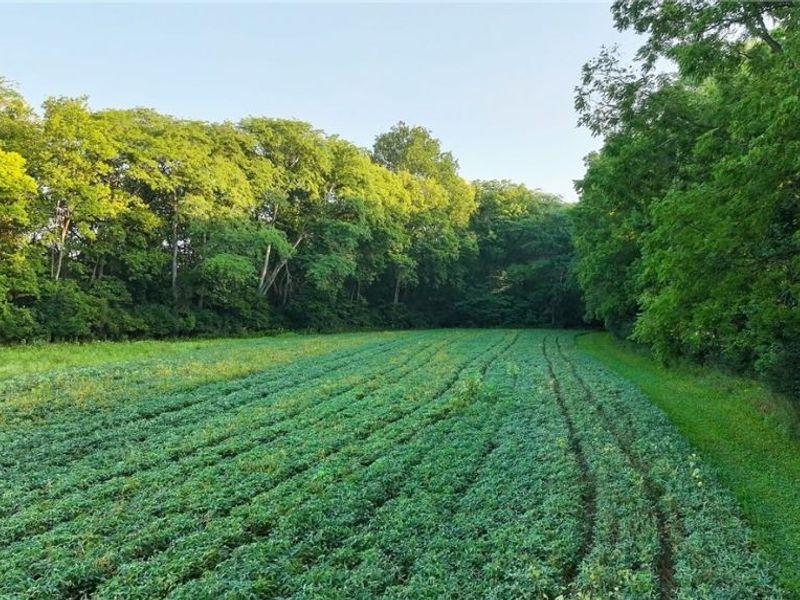 19530 W State Route 105, Elmore, OH 43416 Photo 38