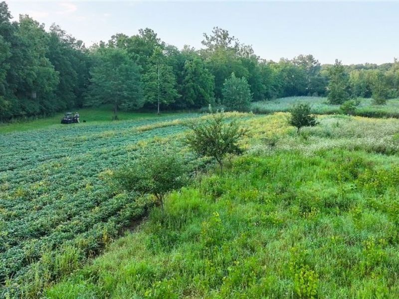 19530 W State Route 105, Elmore, OH 43416 Photo 39
