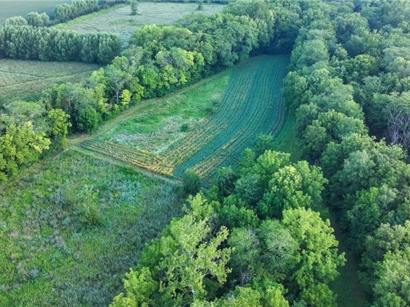 19530 W State Route 105, Elmore, OH 43416 Photo 40