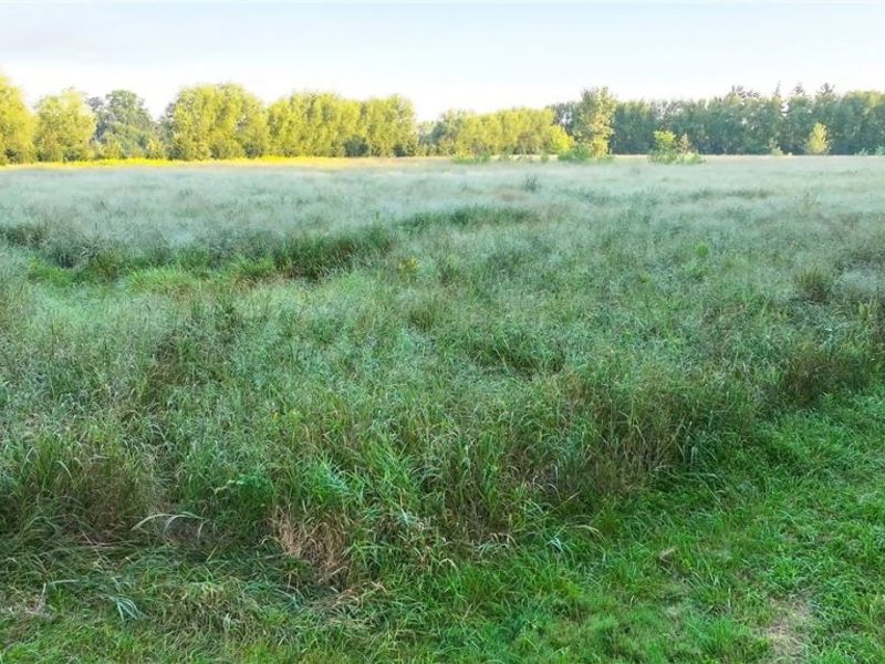 19530 W State Route 105, Elmore, OH 43416 Photo 43