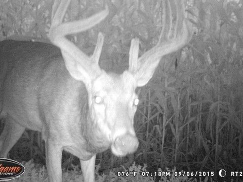 19530 W State Route 105, Elmore, OH 43416 Photo 48