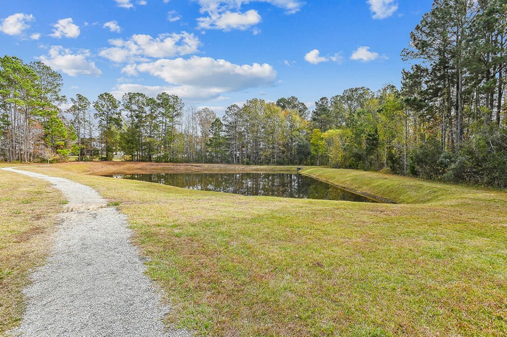 348 Drayton Place Drive Photo 49