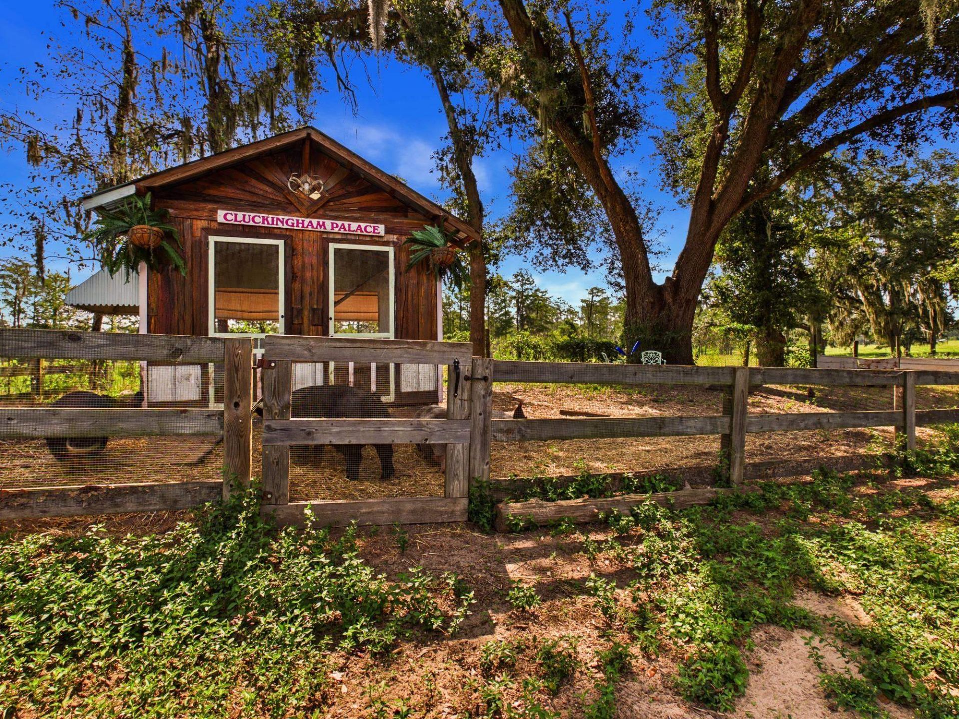421 NW Bailey Grade Road , Greenville, FL 32331 Photo