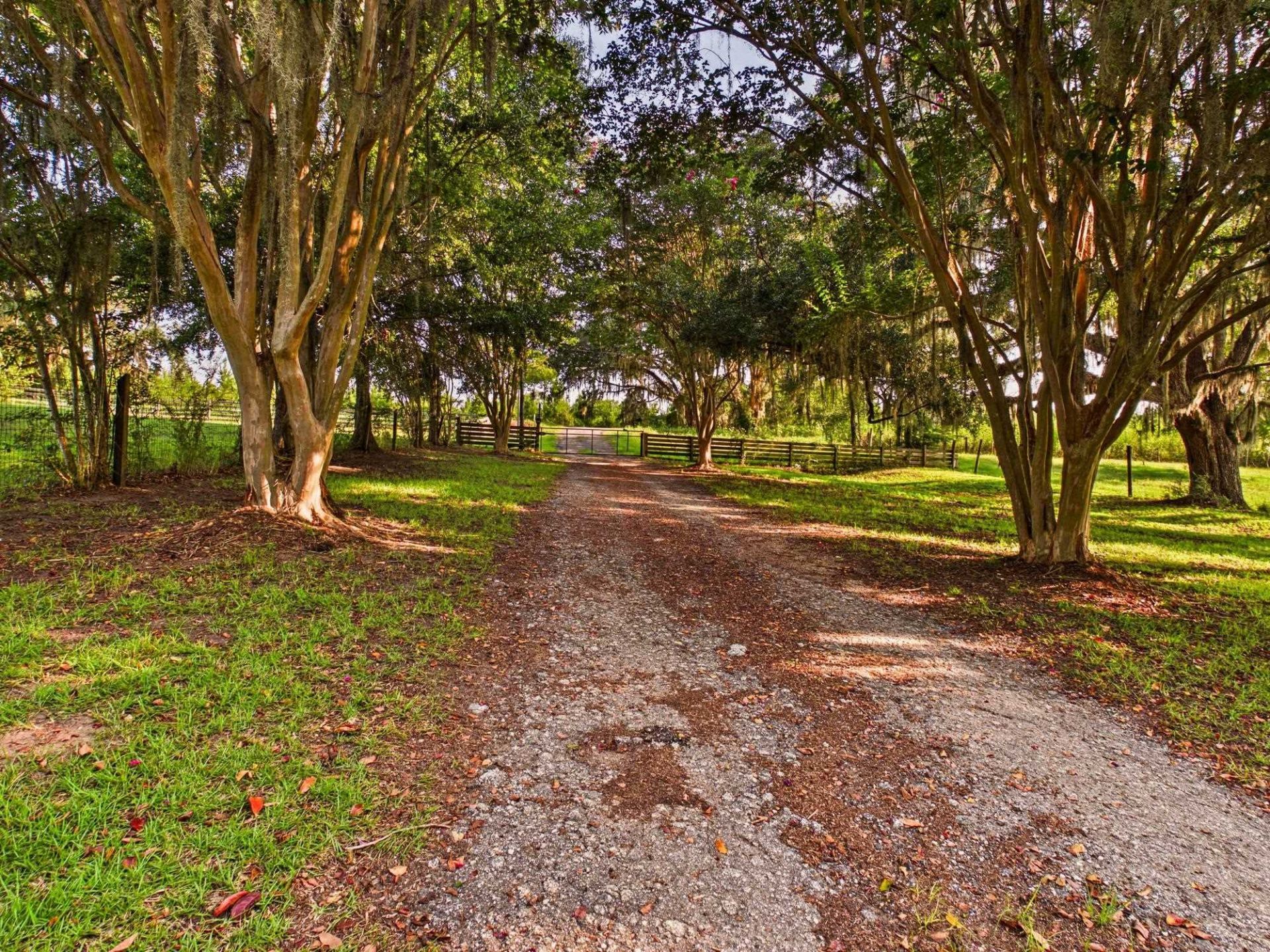 421 NW Bailey Grade Road , Greenville, FL 32331 Photo