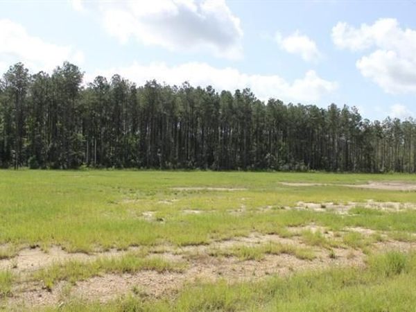 24755 442 Highway, Independence, LA 70443