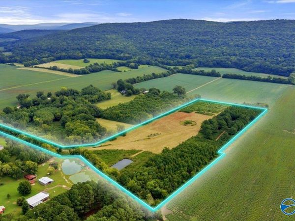 20.3 ACRES Maysville Road, New Market, AL 35761