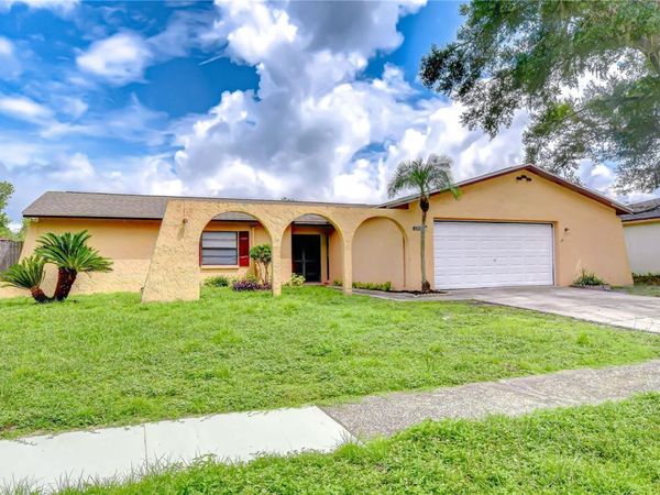 4303 HOLLOW HILL DRIVE , TAMPA, FL 33624
