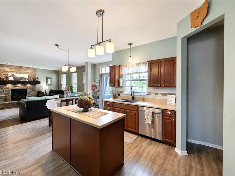 10065 Meadow Ridge Drive, Streetsboro, OH 44241 Photo 10