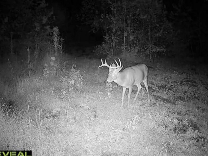 0 County Road 181 , Ironton, OH 45638 Photo 10