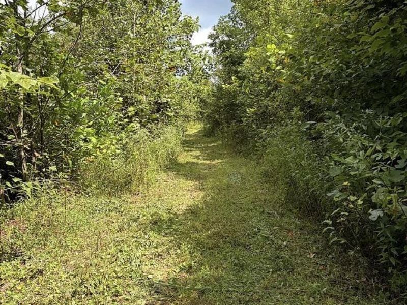 0 County Road 181 , Ironton, OH 45638 Photo 14