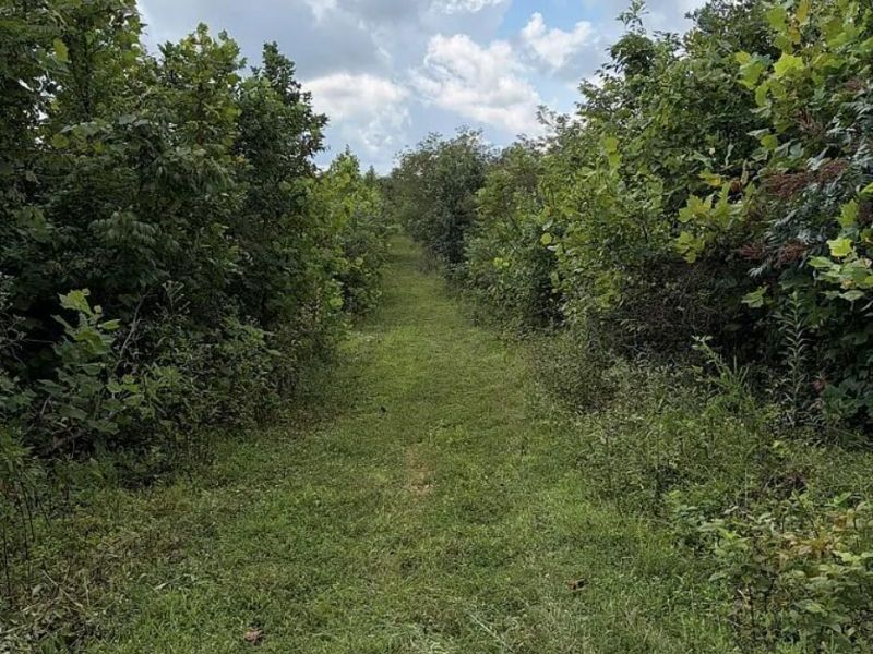 0 County Road 181 , Ironton, OH 45638 Photo 16