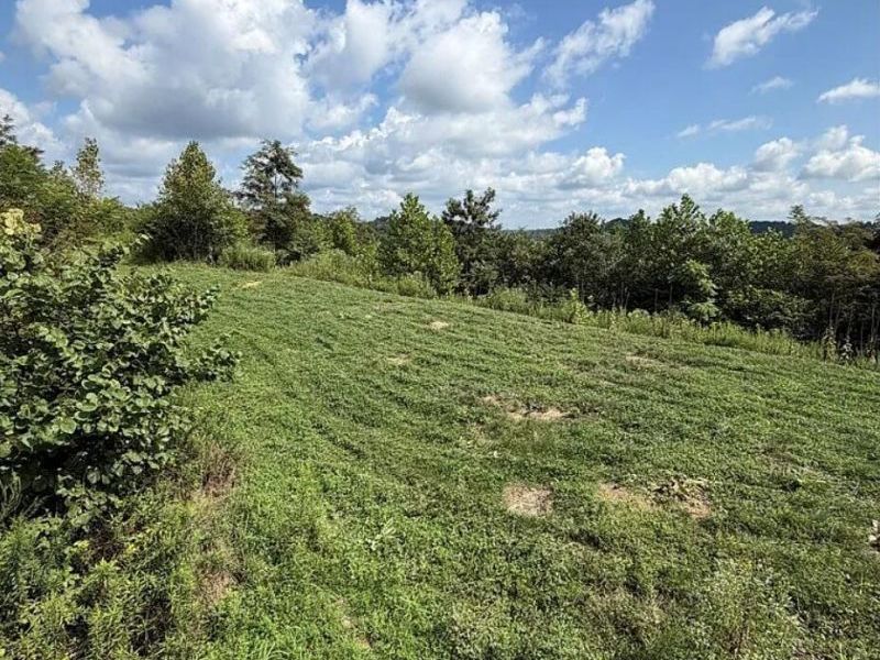 0 County Road 181 , Ironton, OH 45638 Photo 19