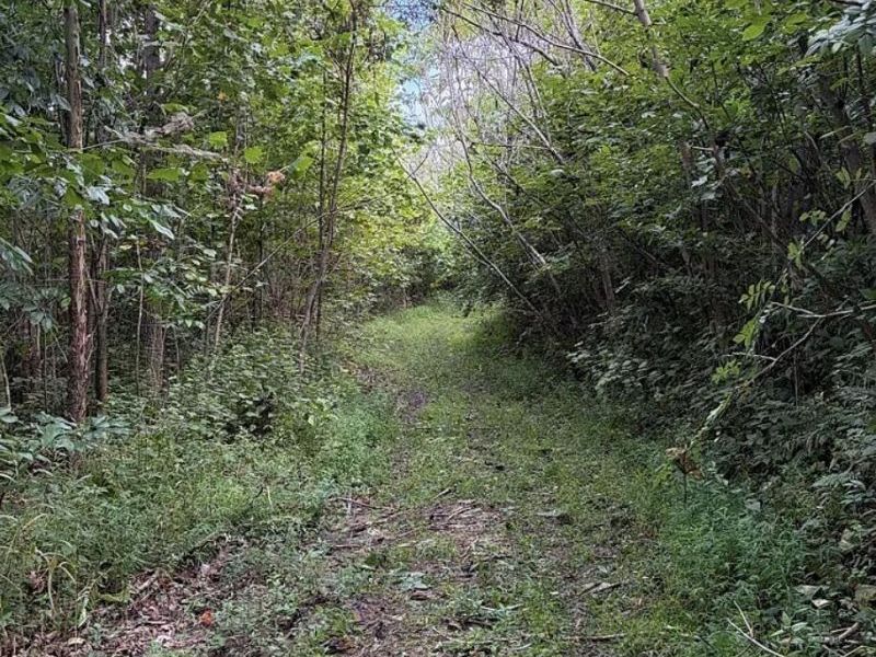 0 County Road 181 , Ironton, OH 45638 Photo 27