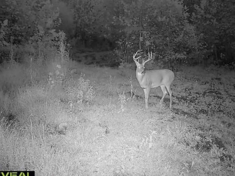 0 County Road 181 , Ironton, OH 45638 Photo 5
