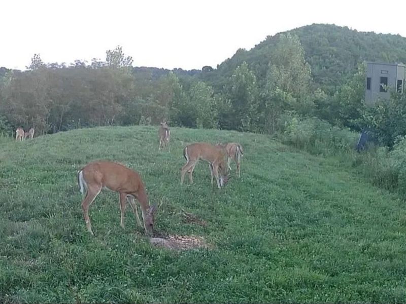 0 County Road 181 , Ironton, OH 45638 Photo 6