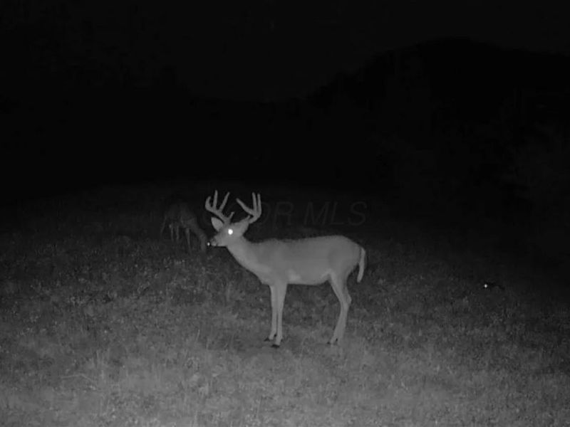 0 County Road 181 , Ironton, OH 45638 Photo 7