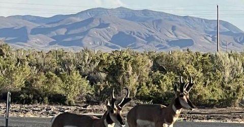 21255 Pyramid Lake Road, Lovelock, NV 89419 Photo
