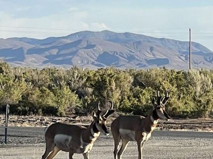 21255 Pyramid Lake Road, Lovelock, NV 89419 Photo