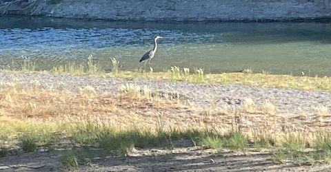 21255 Pyramid Lake Road, Lovelock, NV 89419 Photo