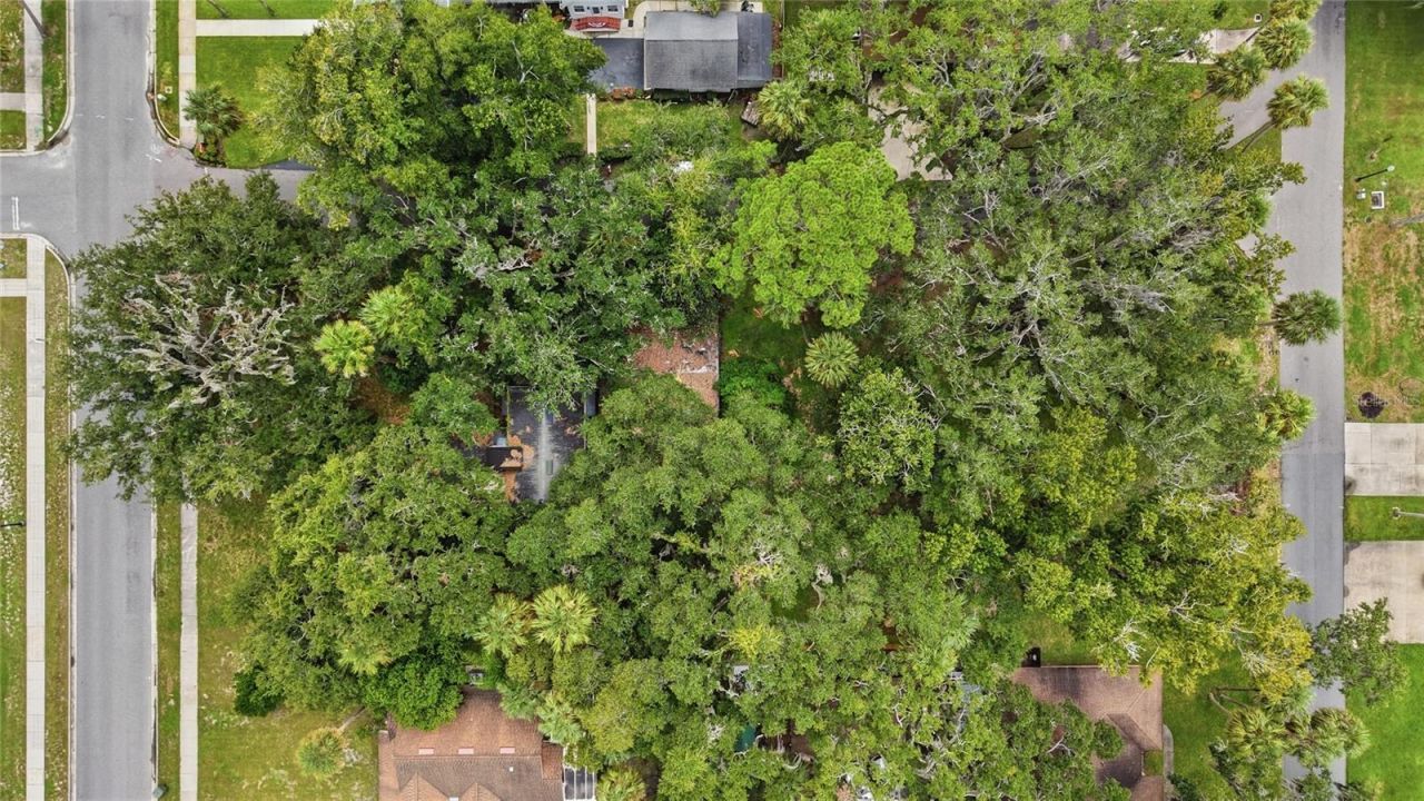815 S 9th Street, Leesburg, FL 34748 Photo