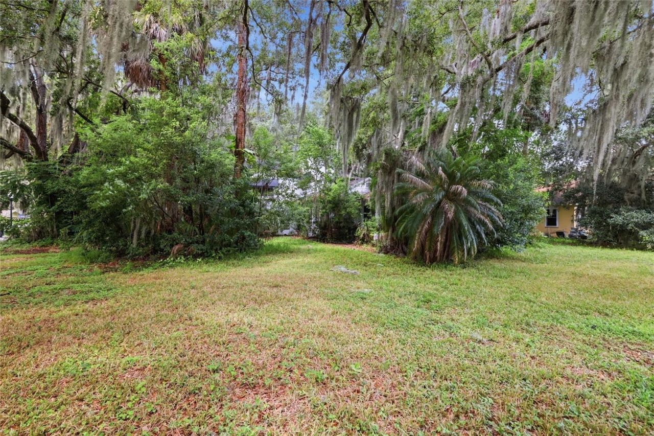 815 S 9th Street, Leesburg, FL 34748 Photo