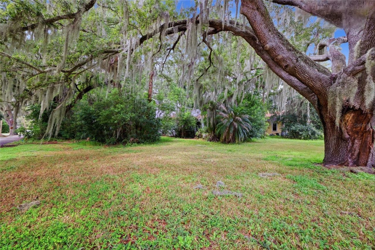 815 S 9th Street, Leesburg, FL 34748 Photo