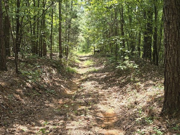 4190 Tuscumbia Road, Blue Springs, MS 38828
