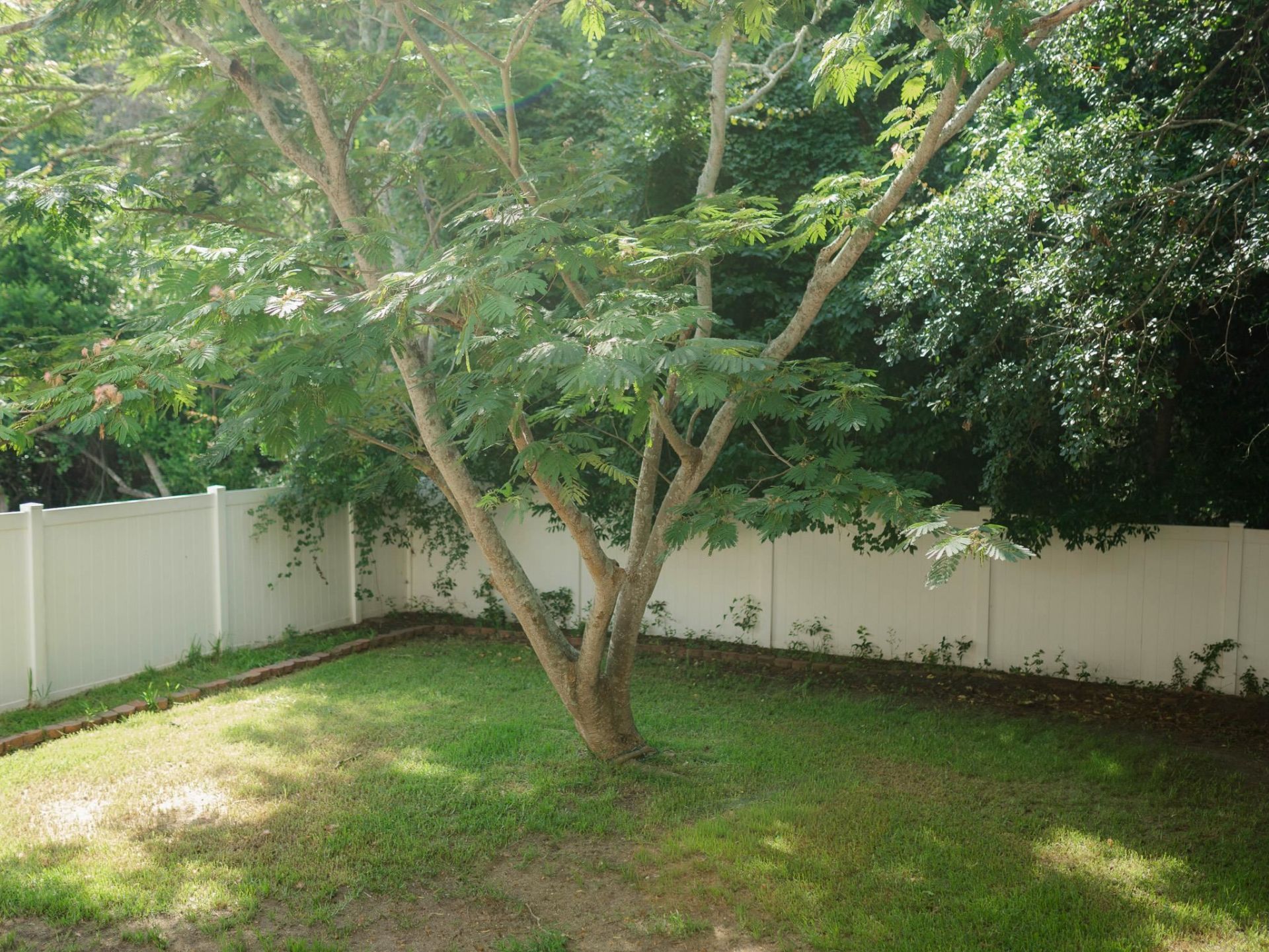 2500 Sand Dunes Dr.  Photo 7
