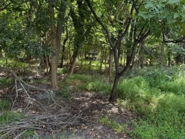 50 SAINT PAUL STREET , Unit LOT 2, BOONSBORO, MD 21713