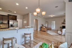 1127 Portrait Hill Drive  photo 4