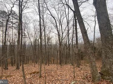 0 TURKEY RIDGE ROAD , CASTLETON, VA 22716