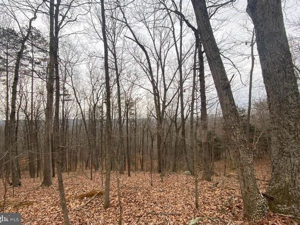 0 TURKEY RIDGE ROAD , CASTLETON, VA 22716