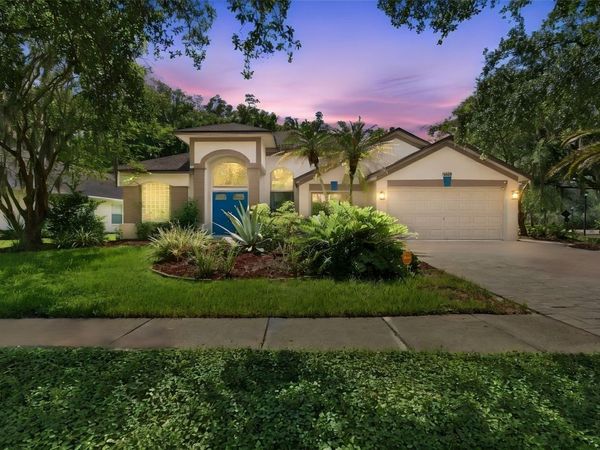 16018 WILMINGTON PLACE , TAMPA, FL 33647