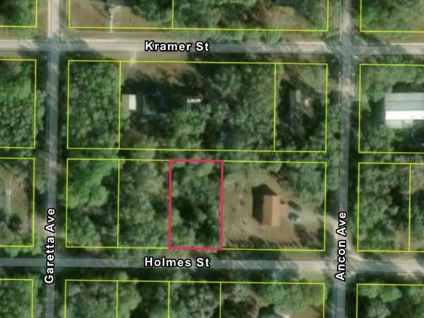 35415 HOLMES STREET , WEBSTER, FL 33597