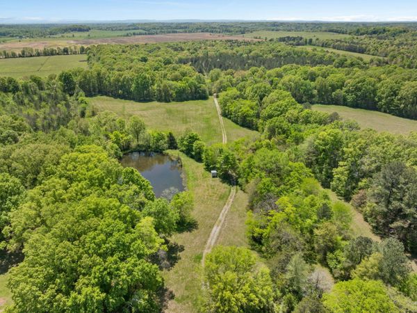 0 Hwy 157, Leighton, AL 35646